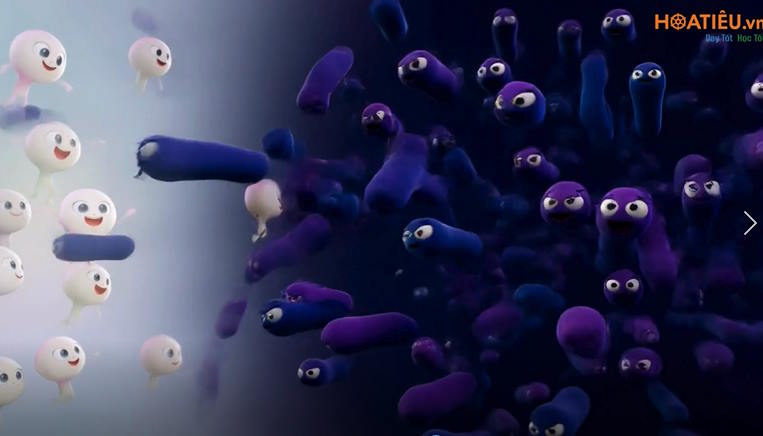 Video AI mở đầu Sinh học lớp 10 Bài 21