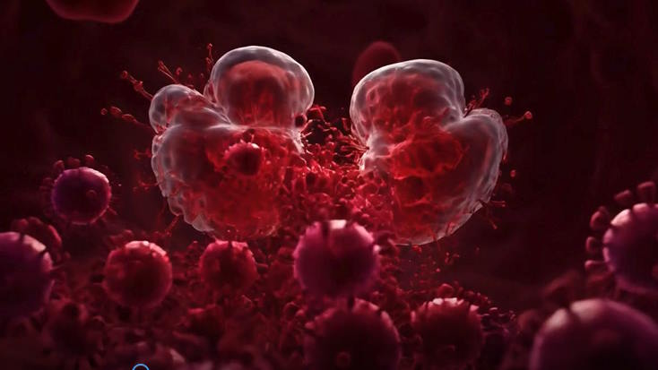  Video AI mở đầu Sinh học lớp 10 Bài 25