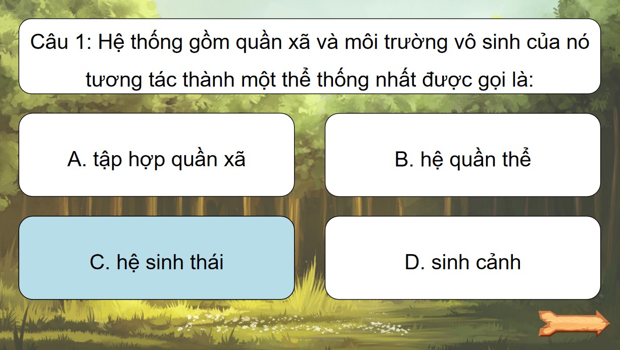 tro choi khtn 8 bai 44 3*552212