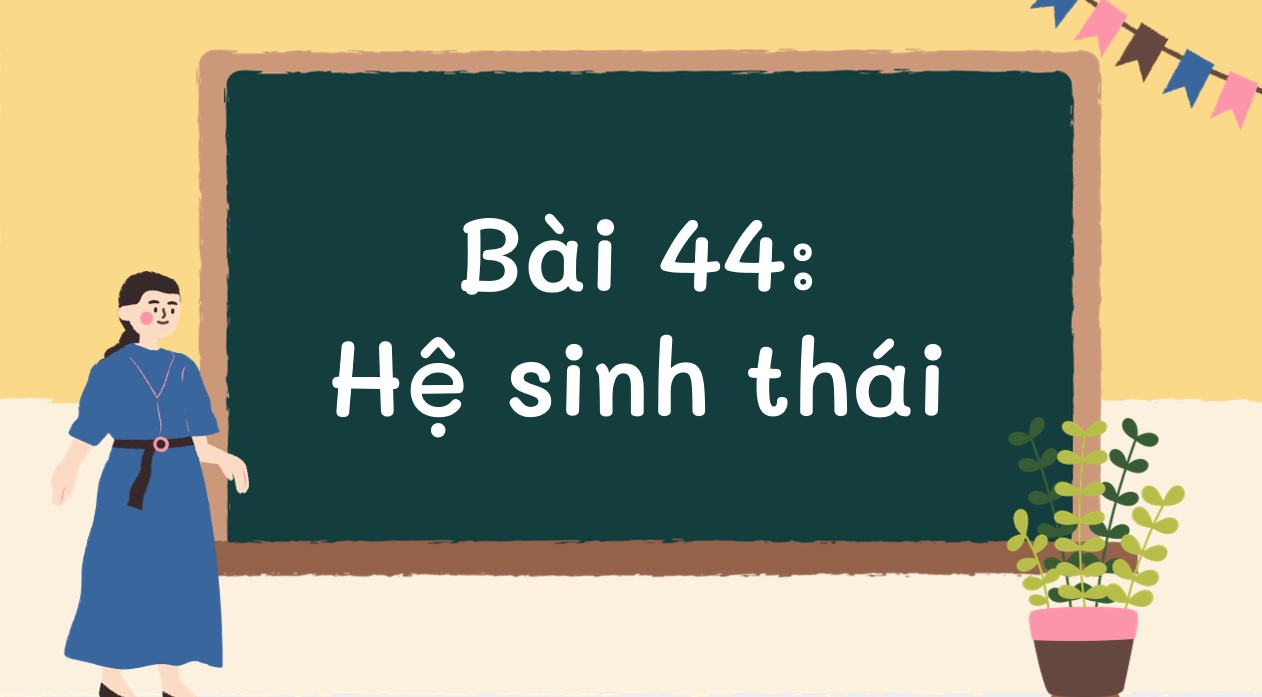 tro choi khtn 8 bai 44*552211