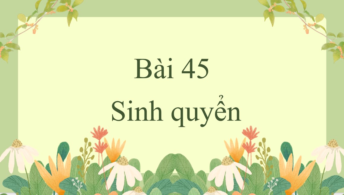 tro choi khtn 8 bai 45*552218