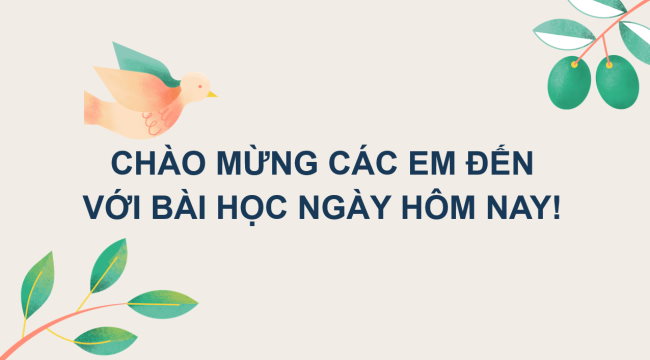 PowerPoint Lịch sử 6 Bài 13: Nước Âu Lạc