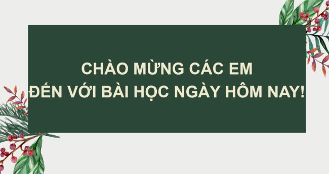 PowerPoint Lịch sử 6 Bài 19: Vương quốc Phù Nam