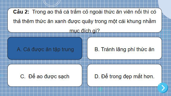 Trò chơi khởi động Tin học 7 Bài 14