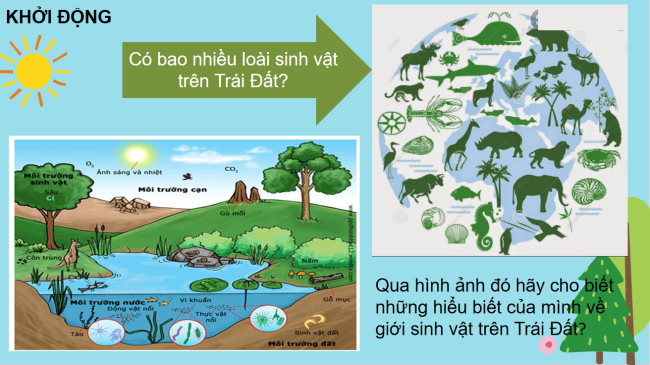 PowerPoint Địa lí 6 Bài 22: Sự đa dạng của thế giới sinh vật. Các đới thiên nhiên trên Trái Đất. Rừng nhiệt đới