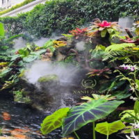 PowerPoint Địa lí 6 Bài 22: Sự đa dạng của thế giới sinh vật. Các đới thiên nhiên trên Trái Đất. Rừng nhiệt đới