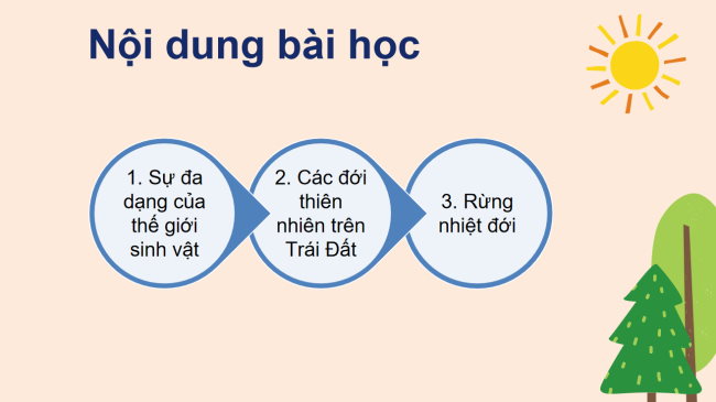 PowerPoint Địa lí 6 Bài 22: Sự đa dạng của thế giới sinh vật. Các đới thiên nhiên trên Trái Đất. Rừng nhiệt đới