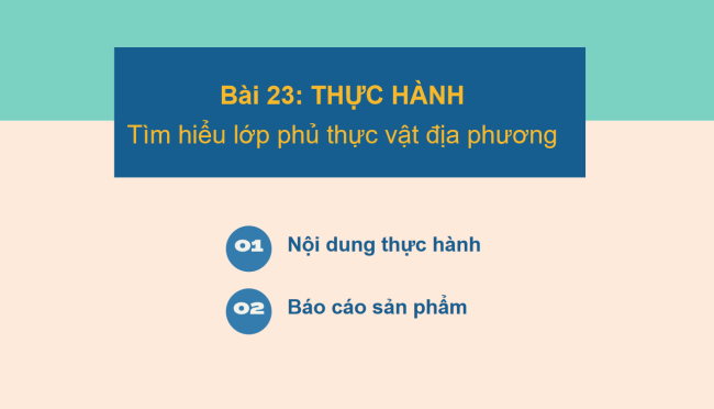 PowerPoint Địa lí 6 Bài 23: Thực hành: Tìm hiểu lớp phủ thực vật ở địa phương