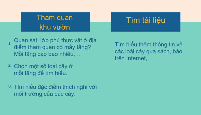 PowerPoint Địa lí 6 Bài 23: Thực hành: Tìm hiểu lớp phủ thực vật ở địa phương