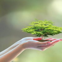 PowerPoint Địa lí 6 Bài 25: Con người và thiên nhiên