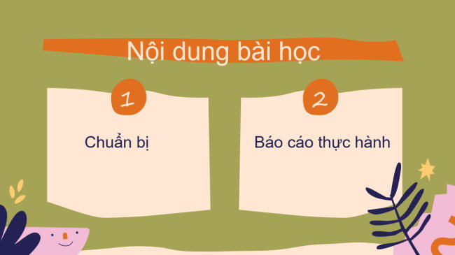 PowerPoint Địa lí 6 Bài 26: Thực hành: Tìm hiểu tác động của con người lên môi trường tự nhiên trong sản xuất