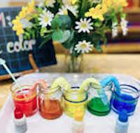 Giáo án mầm non: Sự kỳ diệu của màu sắc