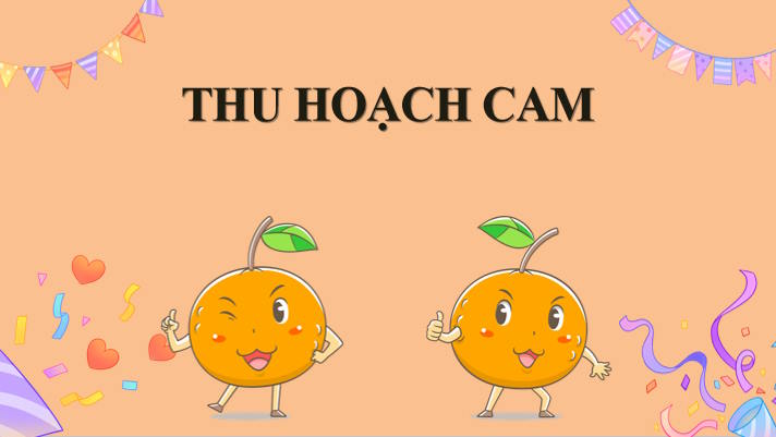 Trò chơi khởi động Ngữ văn 11: Ôn tập học kì 2