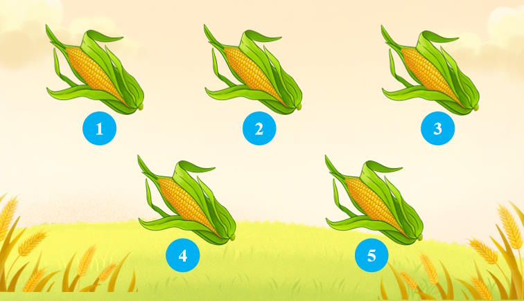 Công nghệ 9 Định hướng nghề nghiệp Bài 1