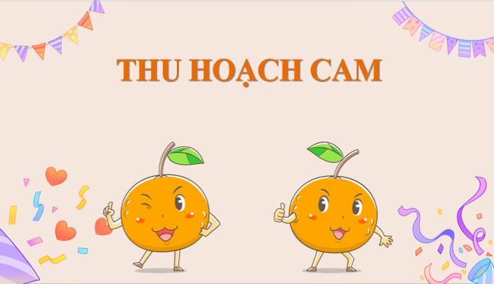 Trò chơi khởi động Địa lí 9 Bài 16