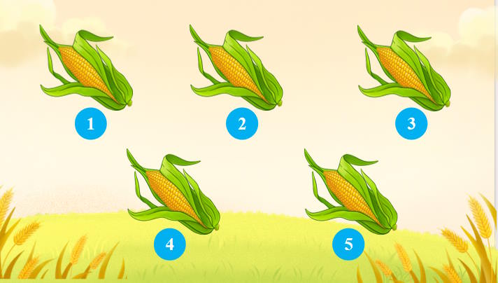 Trò chơi khởi động Địa lí 9 Bài 17