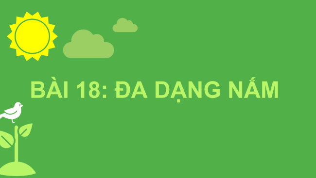 PowerPoint Khoa học tự nhiên 6 Bài 18: Đa dạng nấm