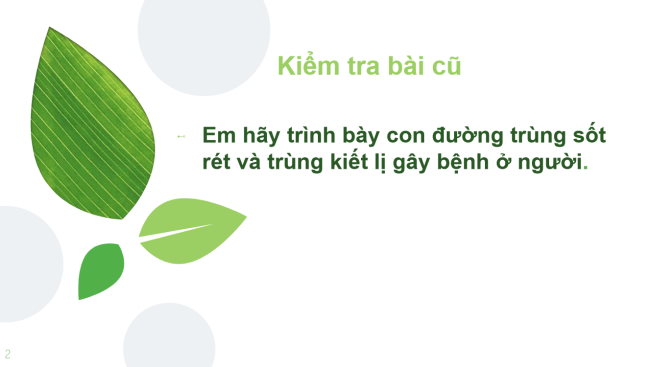 PowerPoint Khoa học tự nhiên 6 Bài 18: Đa dạng nấm