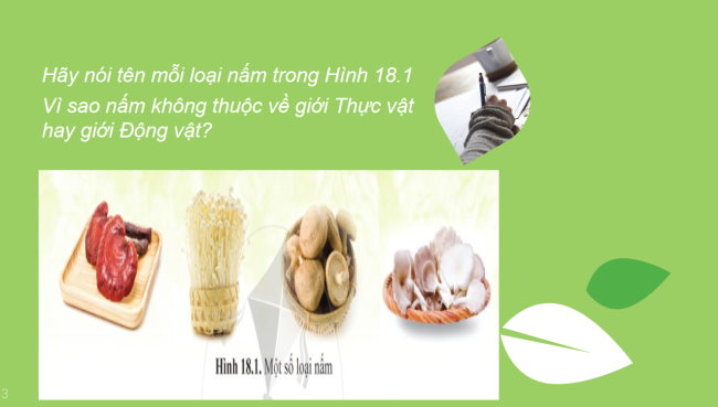 PowerPoint Khoa học tự nhiên 6 Bài 18: Đa dạng nấm