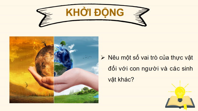 PowerPoint Khoa học tự nhiên 6 Bài 20: Vai trò của thực vật trong đời sống và trong tự nhiên