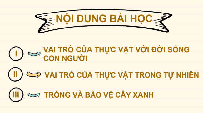 PowerPoint Khoa học tự nhiên 6 Bài 20: Vai trò của thực vật trong đời sống và trong tự nhiên