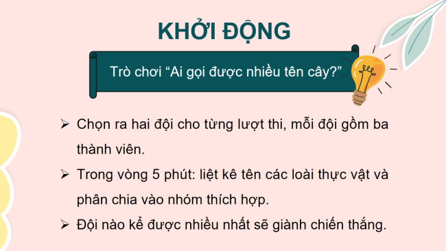 PowerPoint Khoa học tự nhiên 6 Bài 21: Thực hành phân chia các nhóm thực vật
