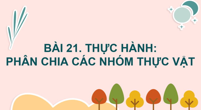 PowerPoint Khoa học tự nhiên 6 Bài 21: Thực hành phân chia các nhóm thực vật