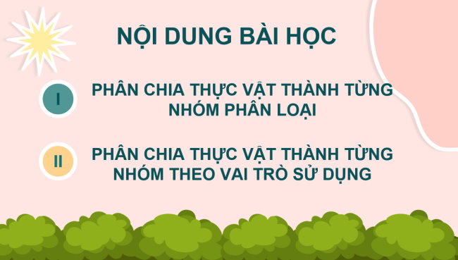PowerPoint Khoa học tự nhiên 6 Bài 21: Thực hành phân chia các nhóm thực vật
