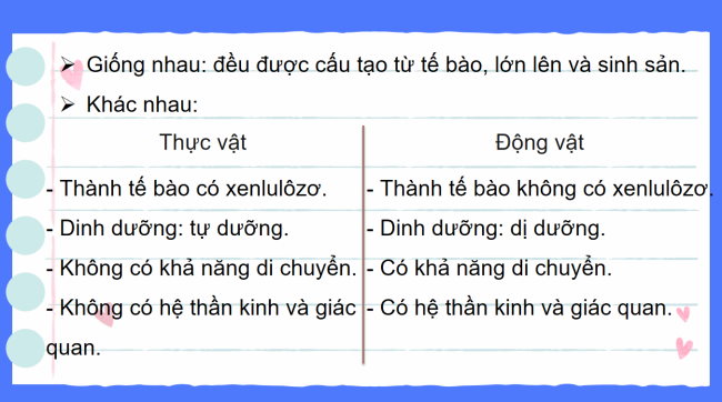 PowerPoint Khoa học tự nhiên 6 Bài 22: Đa dạng động vật không xương sống