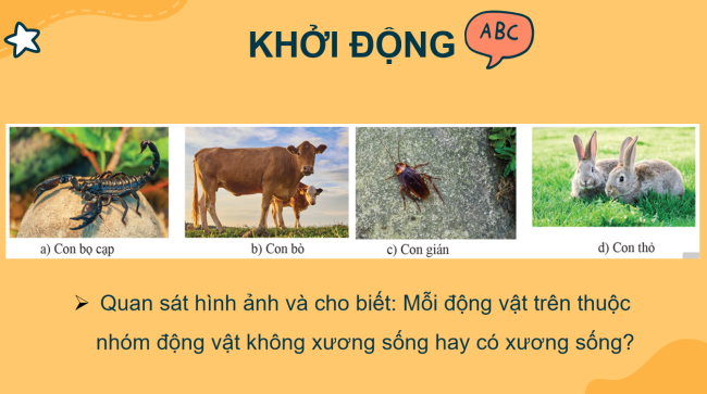 PowerPoint Khoa học tự nhiên 6 Bài 23: Đa dạng động vật có xương sống