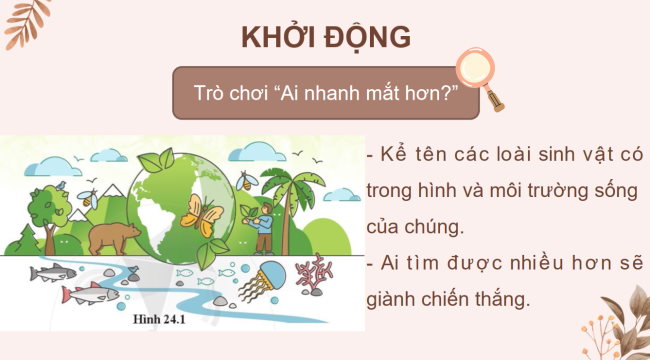 PowerPoint Khoa học tự nhiên 6 Bài 24: Đa dạng sinh học