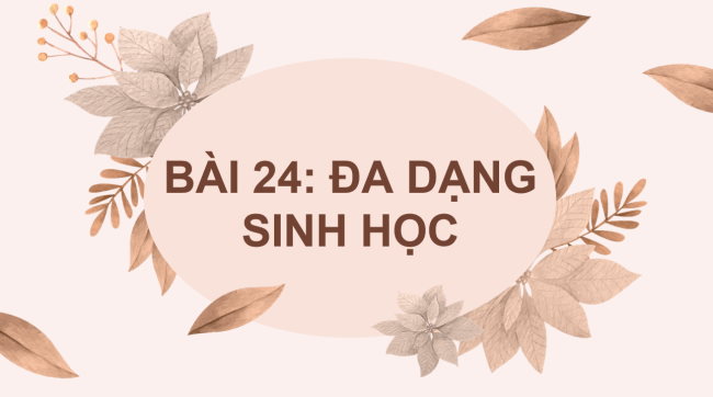 PowerPoint Khoa học tự nhiên 6 Bài 24: Đa dạng sinh học