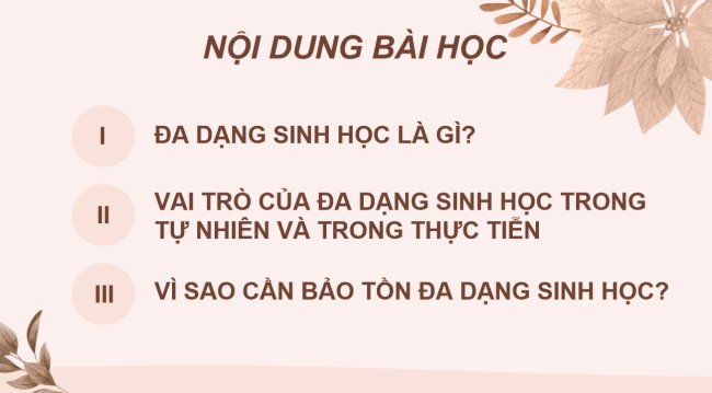 PowerPoint Khoa học tự nhiên 6 Bài 24: Đa dạng sinh học