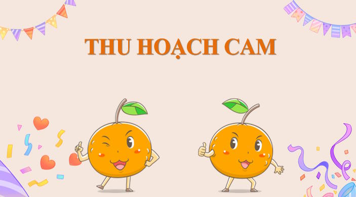 Trò chơi khởi động Mĩ thuật 7 Bài 13