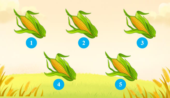 Trò chơi khởi động Mĩ thuật 7 Bài 14