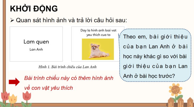 PowerPoint Tin học 3 Bài 2: Thêm ảnh vào trang trình chiếu