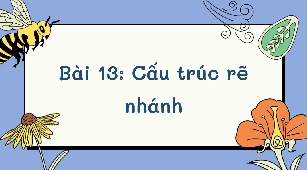 tro choi tin 5 bai 13*556659