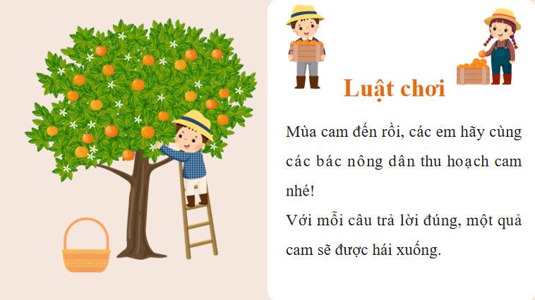 Công nghệ Chăn nuôi 11 Ôn tập chương 5