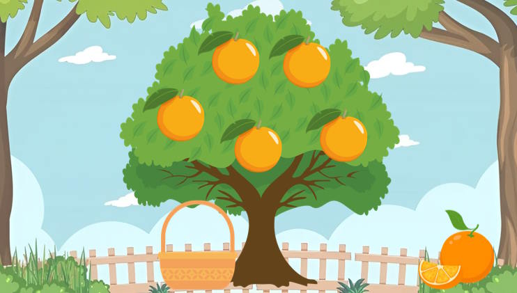 Công nghệ Chăn nuôi 11 Ôn tập chương 5