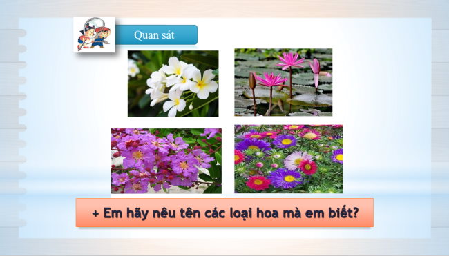 PowerPoint Mĩ thuật 1 Chủ đề 7: Hoa, quả