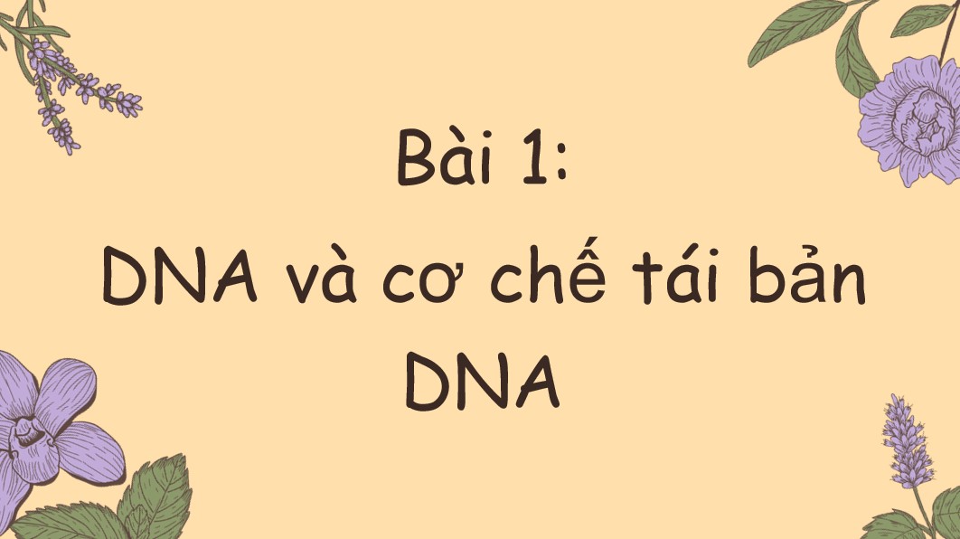 tro choi khoi dong sinh hoc 12 bai 1 1*557603