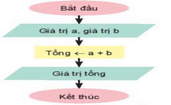 Tin học 6