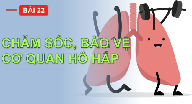 PowerPoint Tự nhiên và xã hội 2 Bài 22: Chăm sóc, bảo vệ cơ quan hô hấp