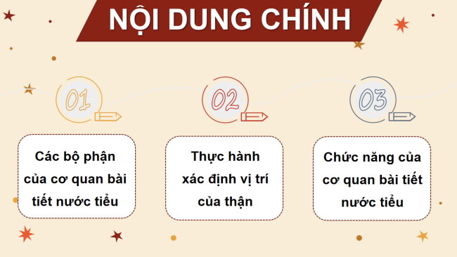 PowerPoint Tự nhiên và xã hội 2 Bài 23: Cơ quan bài tiết nước tiểu