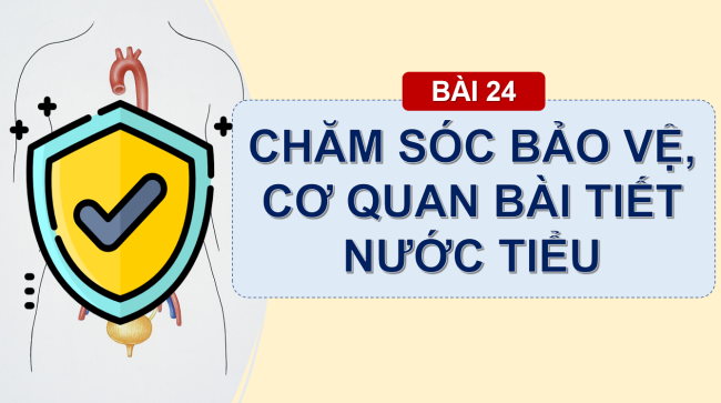PowerPoint Tự nhiên và xã hội 2 Bài 24: Chăm sóc, bảo vệ cơ quan bài tiết nước tiểu