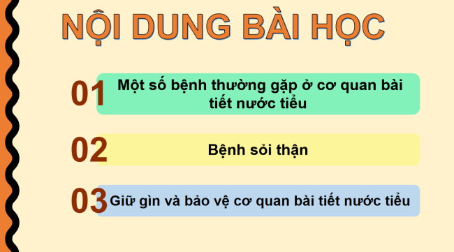 PowerPoint Tự nhiên và xã hội 2 Bài 24: Chăm sóc, bảo vệ cơ quan bài tiết nước tiểu