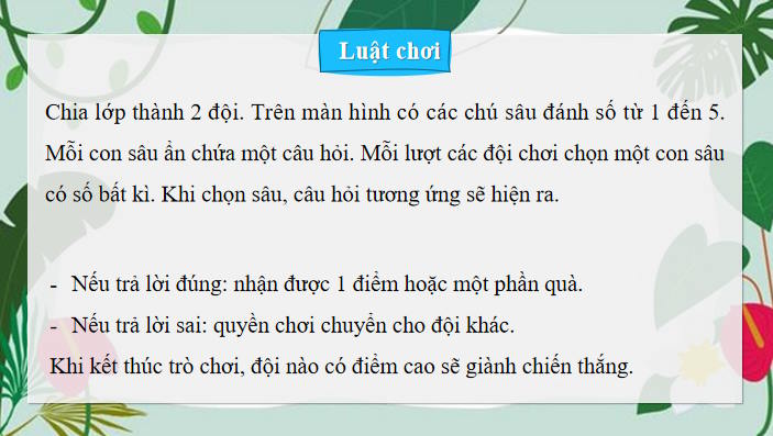 Trò chơi khởi động Công nghệ 11 Bài 22