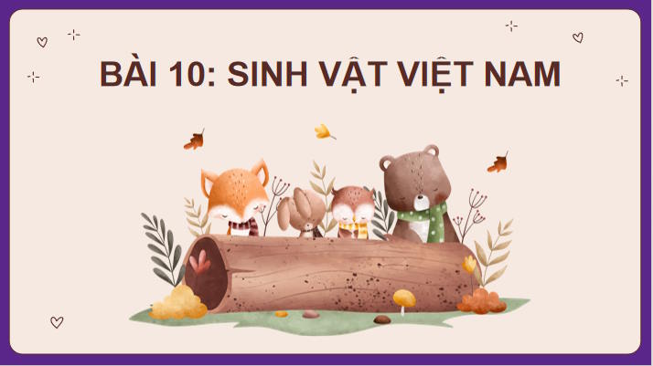 Sinh vật Việt Nam