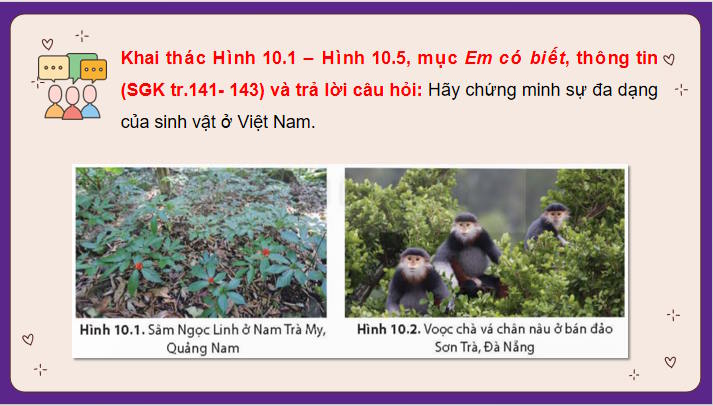 Sinh vật Việt Nam