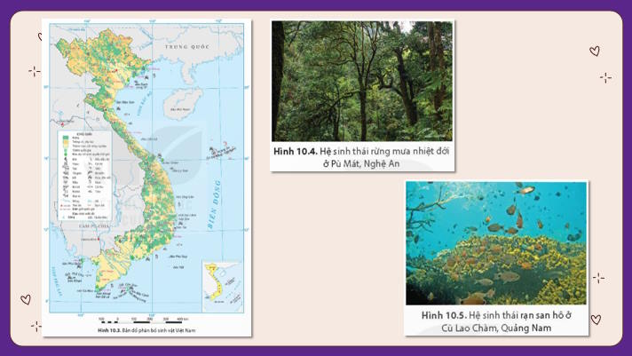 Sinh vật Việt Nam